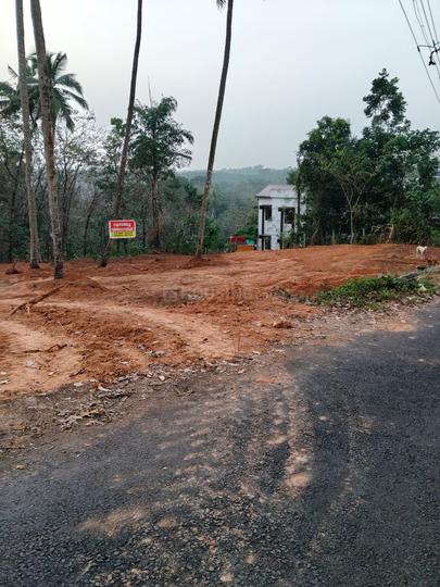 Parippally Main Image 1