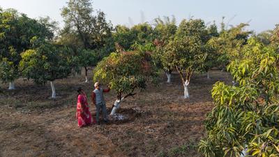 Image of 2023 Sq.ft Residential Plot / Land for sale in Trimbak, Nashik for Rs. 6000000