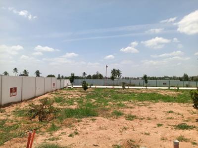 Residential Plot