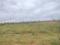 KHB Surya City Phase 4 Main Image 1