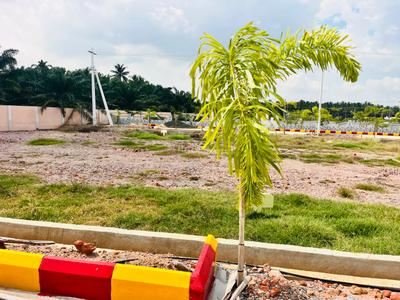 Image of 1350 Sq.ft Residential Plot / Land for sale in Lala Cheruvu, Rajahmundry for Rs. 1350000