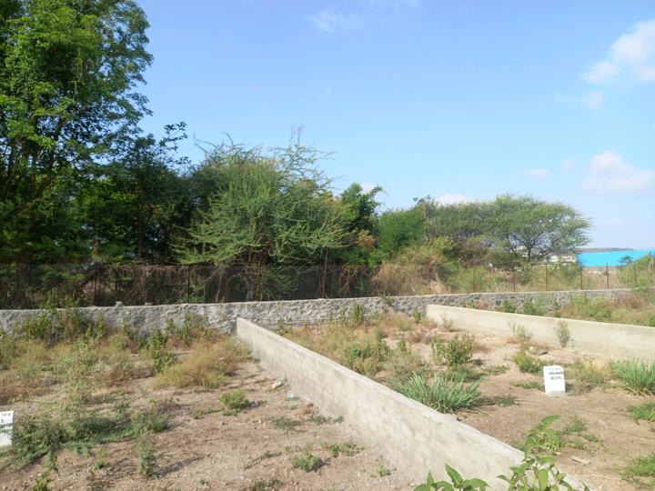 Hinjawadi Phase 2 Main Image 1