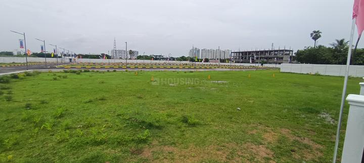 Serasa ROYAL C Main Image 1