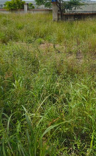 Mohammed Wadi Main Image 1