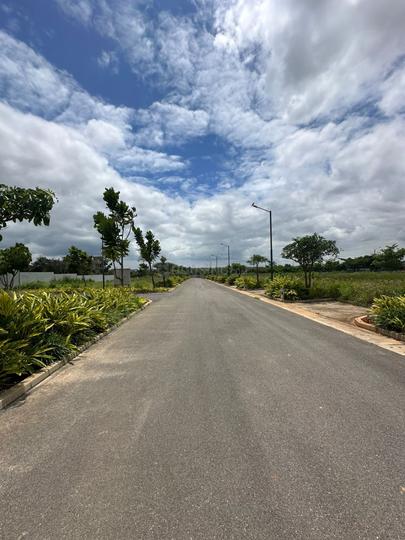 Tangled Up In Green Main Image 1