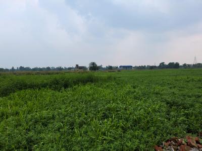 Image of 720 Sq.ft Residential Plot / Land for sale in Nest Valley, Joka, Kolkata for Rs. 180000