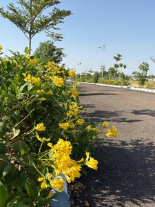 Image of 900 Sq.ft Residential Plot / Land for sale in Bhankrota, Jaipur for Rs. 5100000