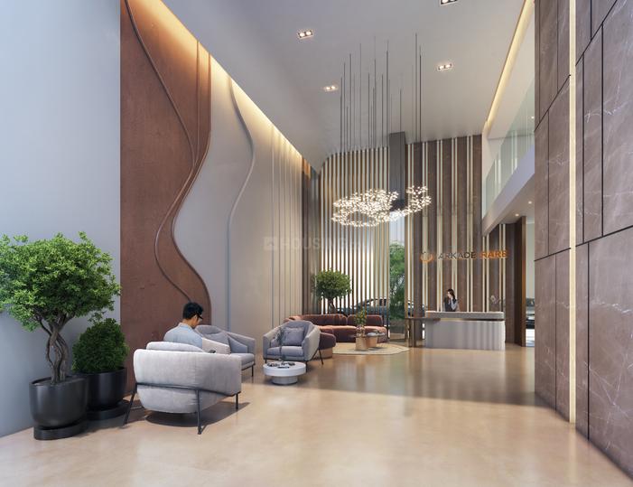 Arkade Rare Main Image 1