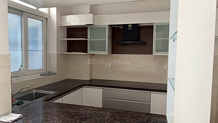 Chandra Panorama Main Image 1