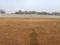 Raghunandan Park Plot View 2