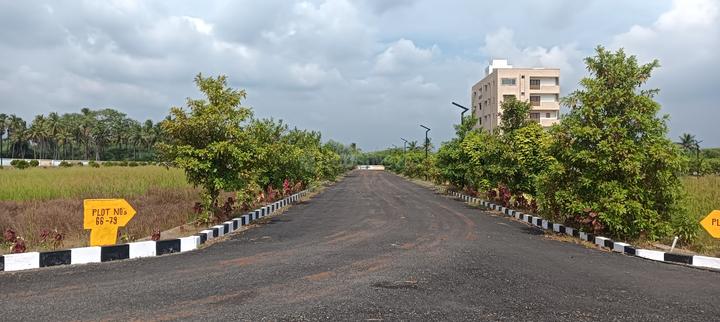 Savaravilli Main Image 1