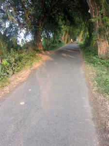 Image of 720 Sq.ft Residential Plot / Land for sale in New Town, Kolkata for Rs. 1235600