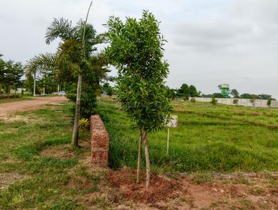 Image of 1741 Sq.ft Residential Plot / Land for sale in Krishna Vatika, Phulnakhara, Cuttack, Phulnakhara, Cuttack for Rs. 2100000