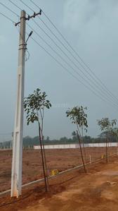 Residential Plot