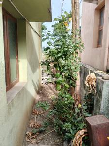 Balcony Image of 1162 Sq.ft 2 BHK Villa for sale in Cholavaram, Thiruvallur Chennai for Rs. 4500000