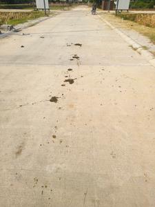 Image of 1089 Sq.ft Residential Plot / Land for sale in Reliance Met City, Yakubpur, Jhajjar for Rs. 11000000
