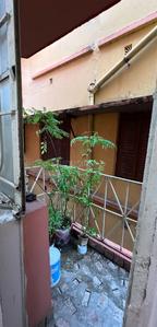 Balcony Image of 710 Sq.ft 2 BHK Apartment / Flat for sale in Netaji Nagar Kolkata for Rs. 3200000