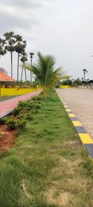 Image of 165 Sq.ft Residential Plot / Land for sale in Penamaluru, Vijayawada for Rs. 4785000