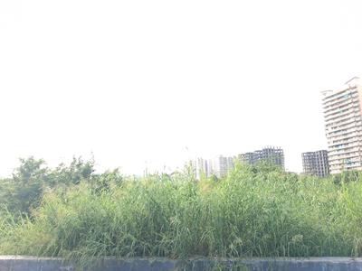Image of 1800 Sq.ft Residential Plot / Land for sale in Sector 79, Noida for Rs. 27100000