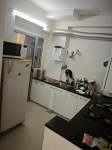 Kitchen Image of 1009 Sq.ft 2 BHK Apartment / Flat for sale in Mahima Bellevista, Jagatpura Jaipur for Rs. 6200000