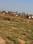 S S White City 74 92 Main Image 1
