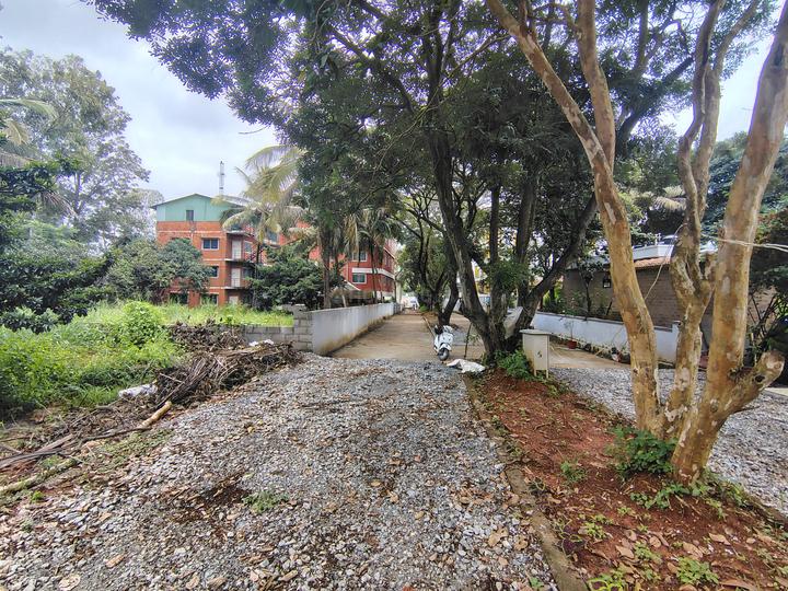 Siri Green Woods Main Image 1