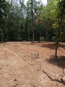 Chamkkada Plot View 1
