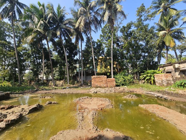 Bamangachhi Main Image 1