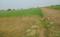 Bhawrasla Main Image 1