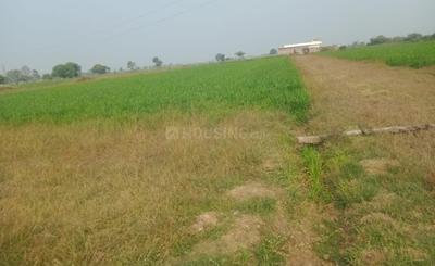 Limboda Garhi Plot View 1