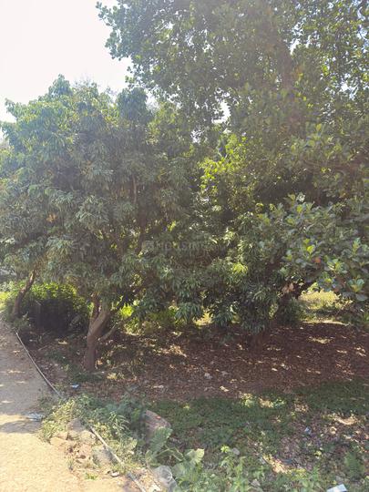 Anarwala Main Image 1