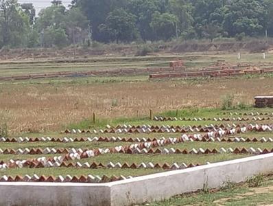 Bihta Plot View 2