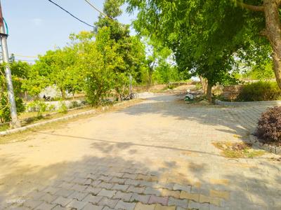Image of 200 Sq.ft Residential Plot / Land for sale in Sunrakh Road, Vrindavan for Rs. 6400000