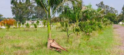 Image of 5000 Sq.ft Residential Plot / Land for sale in Changurabhata, Raipur for Rs. 3255000