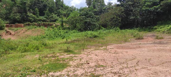 Kuthuparamba Main Image 1