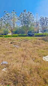 Wave Estate Group Housing 2 Phase 1 Plot View 2