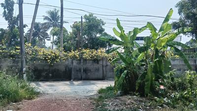 Residential Plot