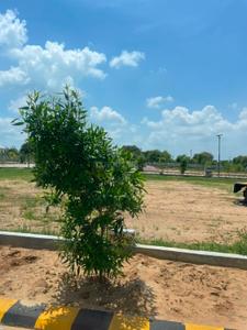 GREEN VALLEY PLOTS Plot View 2