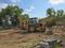 Kamaraj Nagar Main Image 1