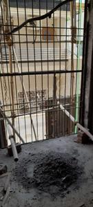 Balcony Image of 4050 Sq.ft 4 BHK Builder Floor for sale in Ashok Vihar New Delhi for Rs. 82500000