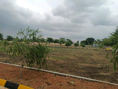 Western Vista Plot View 1