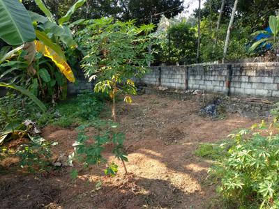 Image of 242 Sq.ft Residential Plot / Land for sale in Malayinkeezh, Thiruvananthapuram for Rs. 3900000