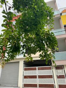 Image of 4900 Sq.ft 8 BHK Independent House for sale in Andrahalli, Bengaluru for Rs. 23500000
