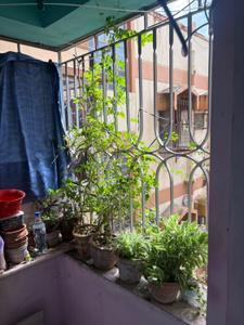 Balcony Image of 710 Sq.ft 2 BHK Apartment / Flat for sale in Garia, Sonarpur Kolkata for Rs. 3350000
