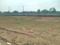 Shadnagar Plot View 1