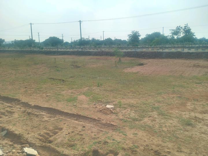 Shadnagar Plot View 1