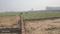 vishnu vihar Plot View 2