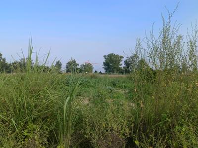 Image of 120 Sq.ft Residential Plot / Land for sale in Rohini Sector 28, New Delhi for Rs. 35000000