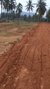 Image of 9089 Sq.ft Residential Plot / Land for sale in Anakapalle, Visakhapatnam for Rs. 2400000