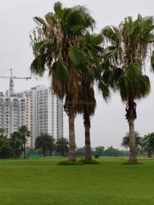 Image of 100 Sq.ft Residential Plot / Land for sale in Supertech Golf Country, Yeida, Greater Noida for Rs. 7000000